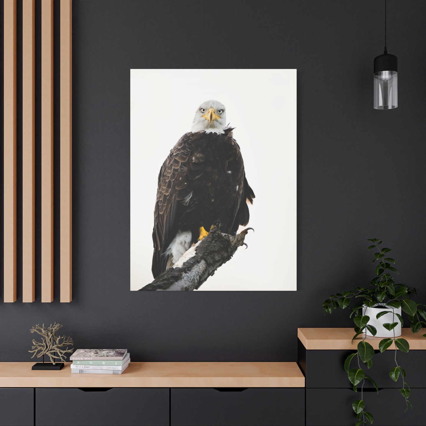 The Bald Eagle - Matte Nature Print