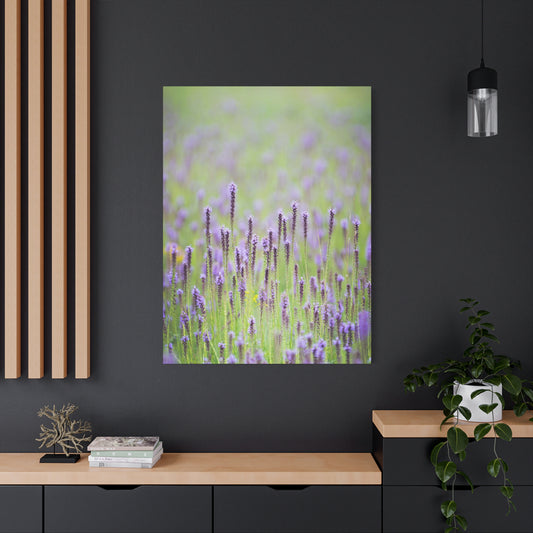Blazing Star Dream - Matte Nature Print