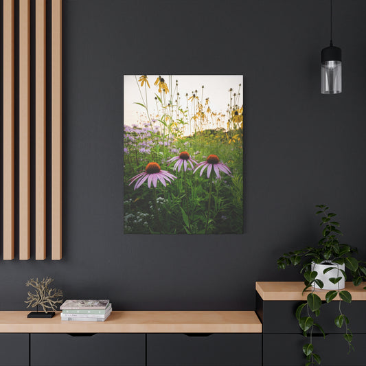 Golden Hour Prairie - Matte Nature Print