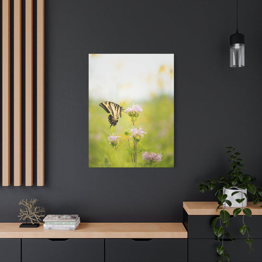 Tiger Swallowtail Butterfly - Matte Nature Print