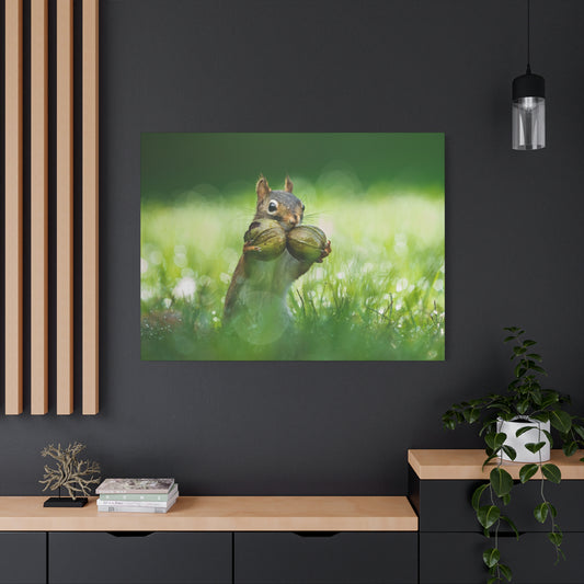 Red Squirrel Doubled Up Nuts - Matte Nature Print