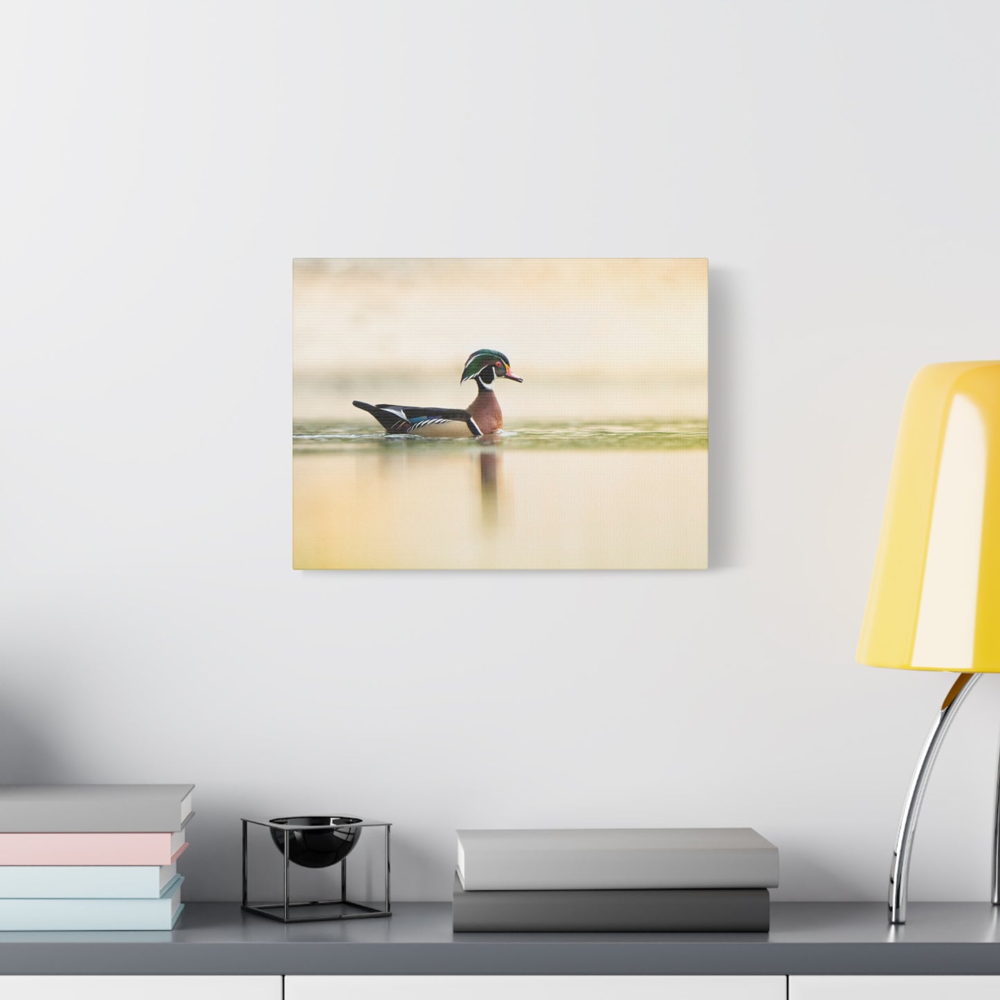 Wood Duck - Matte Nature Print